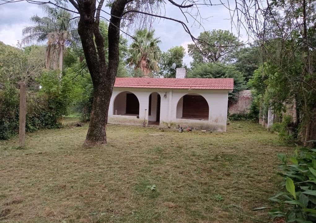 WhatsApp Image 2024-03-05 at 16.44.12